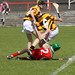 Stephen Cantwell Photo 28
