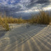 Daniel Eiland Photo 17