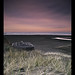 Jane Speck Photo 17