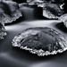 Daniel Angus Photo 35