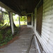 June Godwin Photo 23