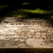 John Pietsch Photo 19
