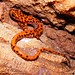 Donald Cave Photo 12