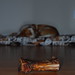 Gary Bone Photo 34