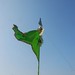 Syed Hyder Photo 31
