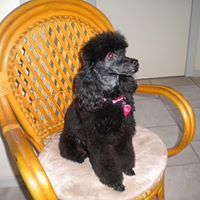 Karen Toft Photo 2