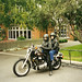 Pauline Harley Photo 20
