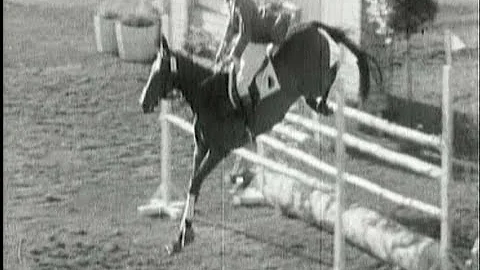 Gunther Winkler Photo 4