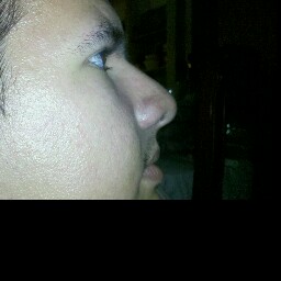 Armando Palomo Photo 10