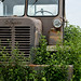 Rusty Coleman Photo 32