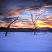 Lawrence Sweet Photo 24