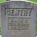 David Gentry Photo 46