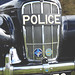 Weston Morris Photo 32