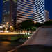 Henry Stern Photo 38