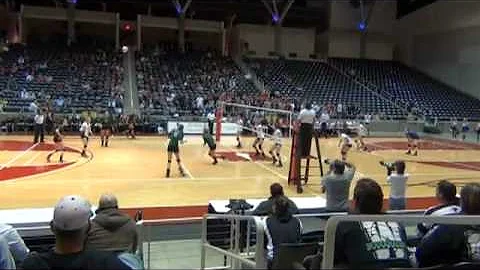 Carly Hess Photo 14