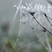 Crystal Canaday Photo 19