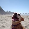 Tracy Mendoza Photo 9