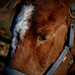 Marc Schramm Photo 17