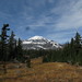 Adam Snipes Photo 20