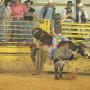 Todd Troutman Photo 20