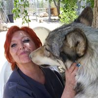 Susan Wacker Photo 7