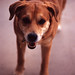 Maxwell Mason Photo 23