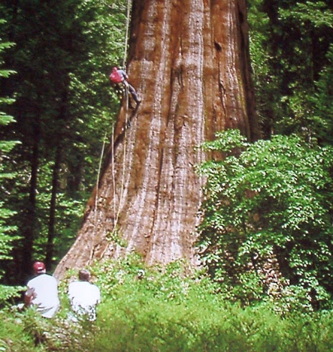 Michael Oxman Photo 11