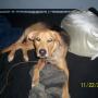 Matthew Culp Photo 30