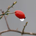 Richard Haw Photo 21