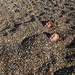 James Aubin Photo 30
