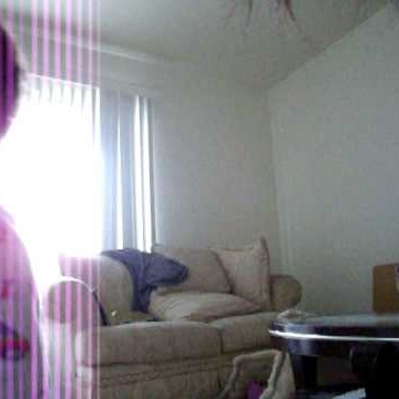 Saundra Martin Photo 9