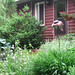 Jim Chadwick Photo 36