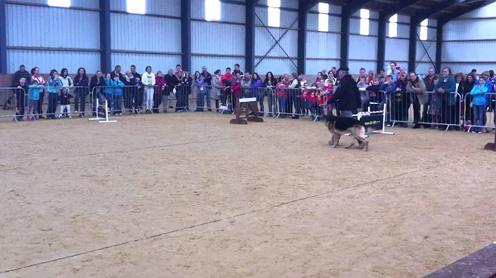 Martin Noonan Photo 16
