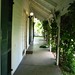 Alice Austin Photo 42