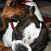 Rudy Long Photo 28