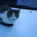 Edward Bernat Photo 14