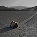 Ann Agnew Photo 25