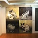 Jonathan Ching Photo 37