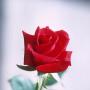 Thomas Ricardo Photo 26