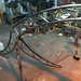 Brett Levine Photo 33