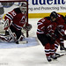 Paul Brodeur Photo 43