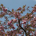 April Baum Photo 30