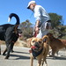 Jasper Bailey Photo 29