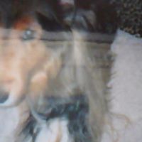 Michael Rasch Photo 5
