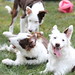 Leslie Borders Photo 26