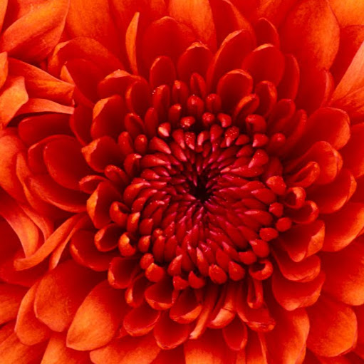 Heidi Kugler Photo 6
