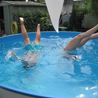 Susan Steinert Photo 6