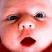 Holly Weeks Photo 32