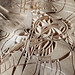 Andrew Haight Photo 35