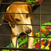 Kathy Walker Photo 38